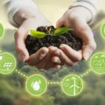 تطوير برامج الاستدامة للمؤسسات لتعزيز مواردها