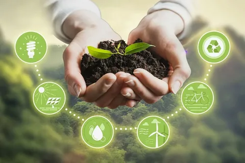 تطوير برامج الاستدامة للمؤسسات