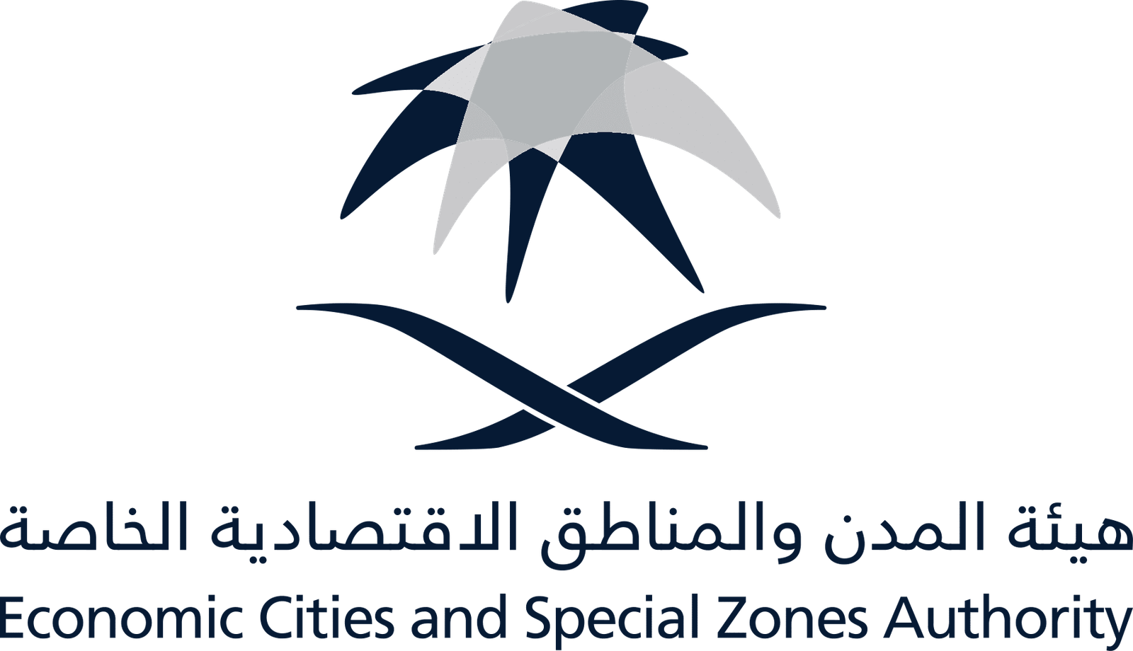 هيئة المدن والمناطق الاقتصادية والخاصة